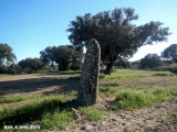 Menir na Herdade das Vidigueiras - PID:194485