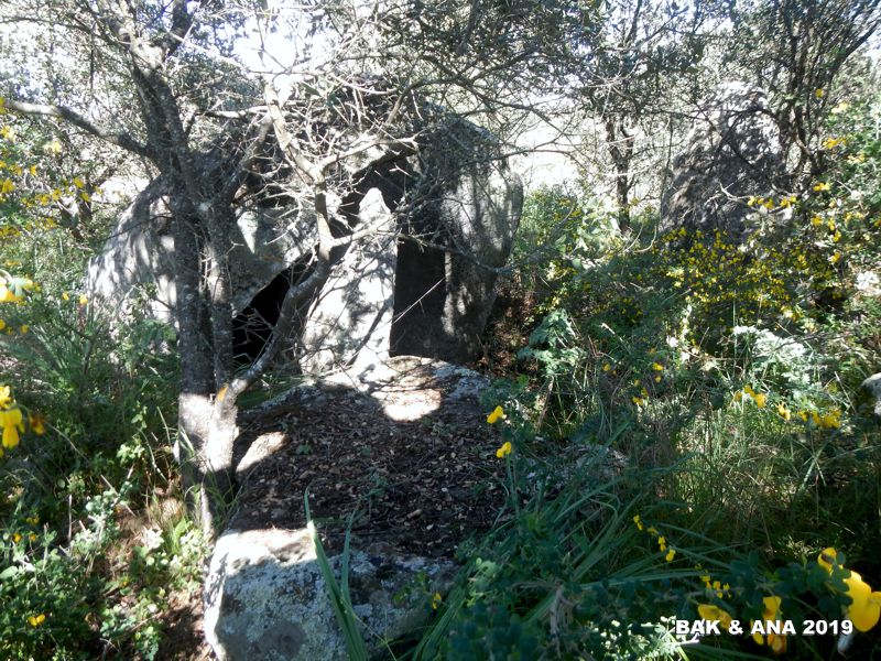 The monument is very well hidden under trees and bushes. It was a little bit difficult to find.