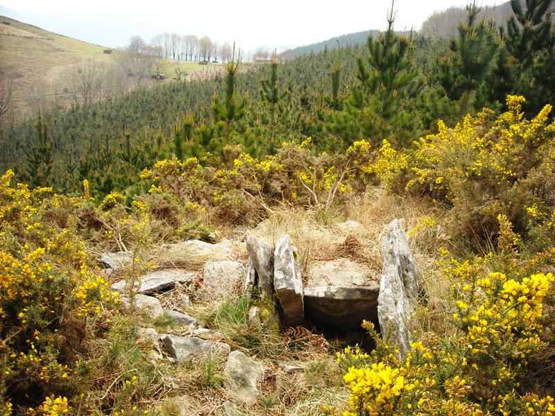 Oiantzar dolmen  in Nafarroa 