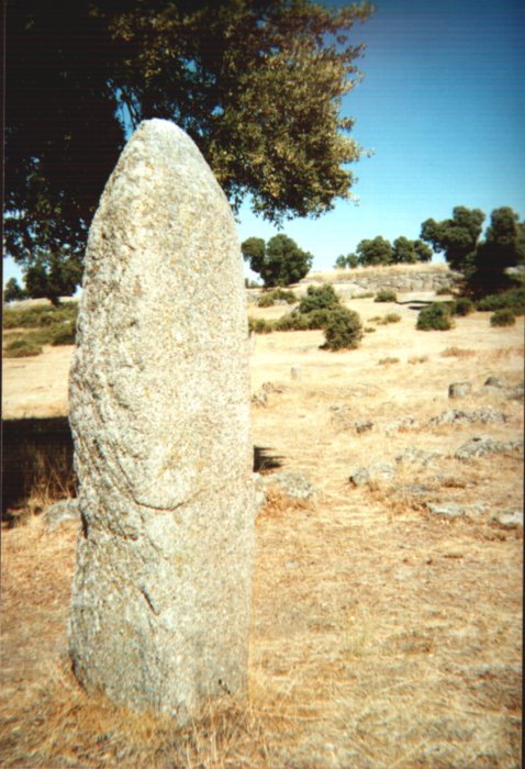 Site in Castilla y León
Three standing stones – one of them broken – form the Castro de la Mesa Necropolis’ alignment. The still intact stones are approximately 6 feet high.