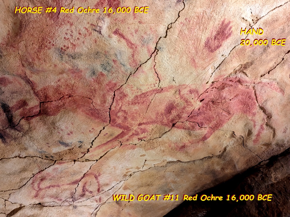 HORSE #4 Red Ochre 16,000 BCE
WILD GOAT #11 Red Ochre 16,000 BCE
HAND - Red Ochre 20,000 BCE
(Altamira cave painting)
