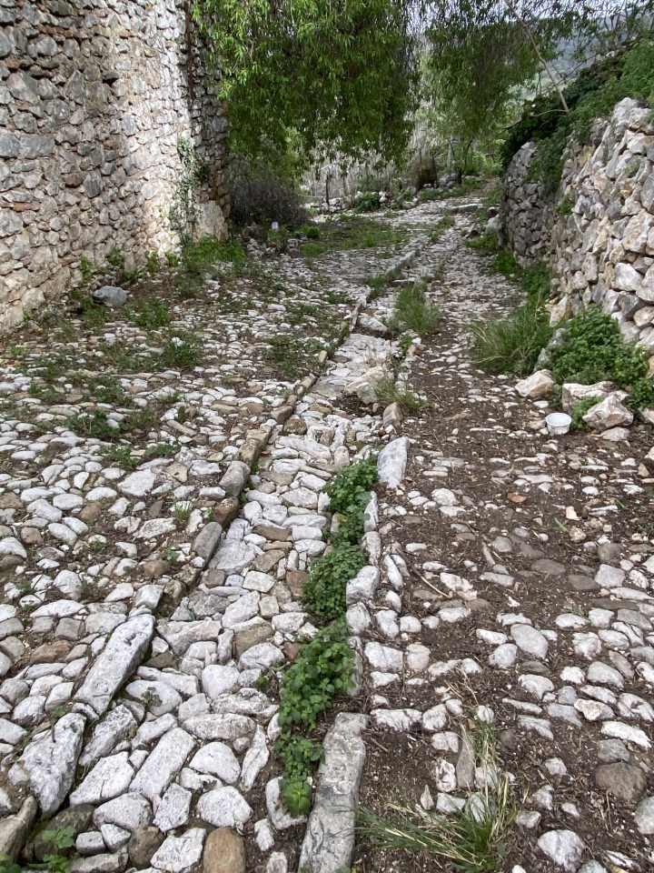 Caldaza Medieval Trackway 