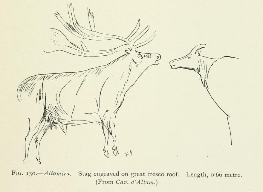 Deer stag and antelope, from 