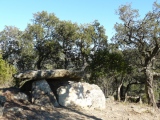 Dolmen Coll de madàs I - PID:44027