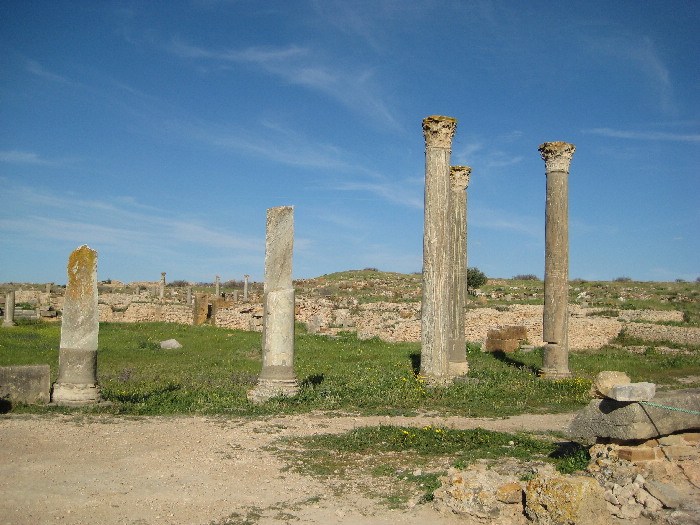 Forum in front of the Capitol