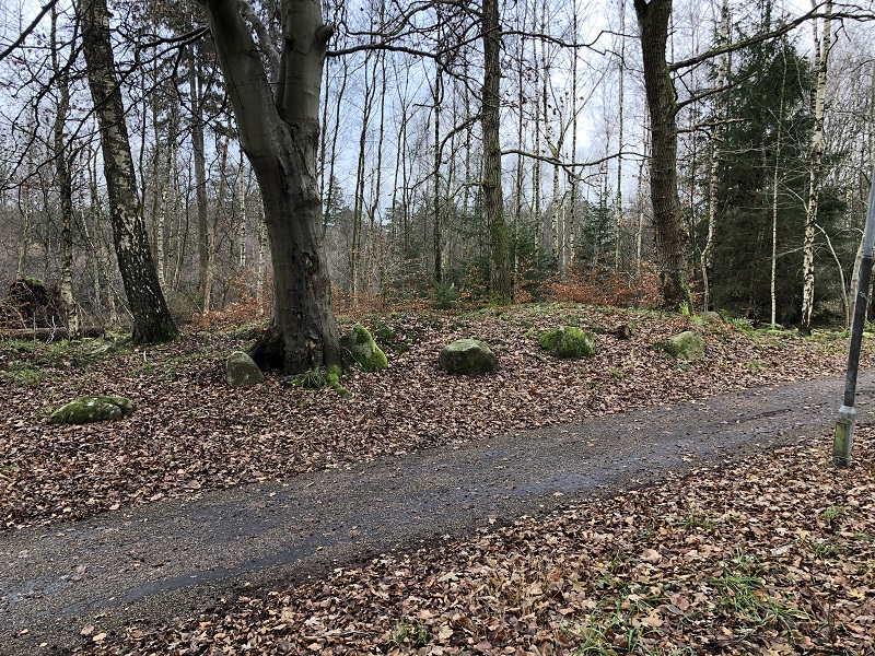 The long barrow seen from north. The kerbstones are still clearly visible. 