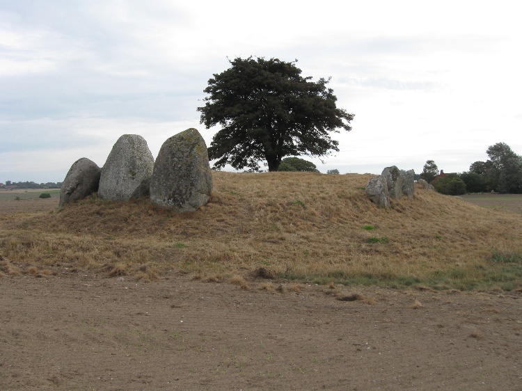 Busemarke Langdysse