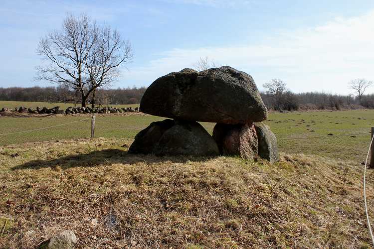 Halskov Runddysse