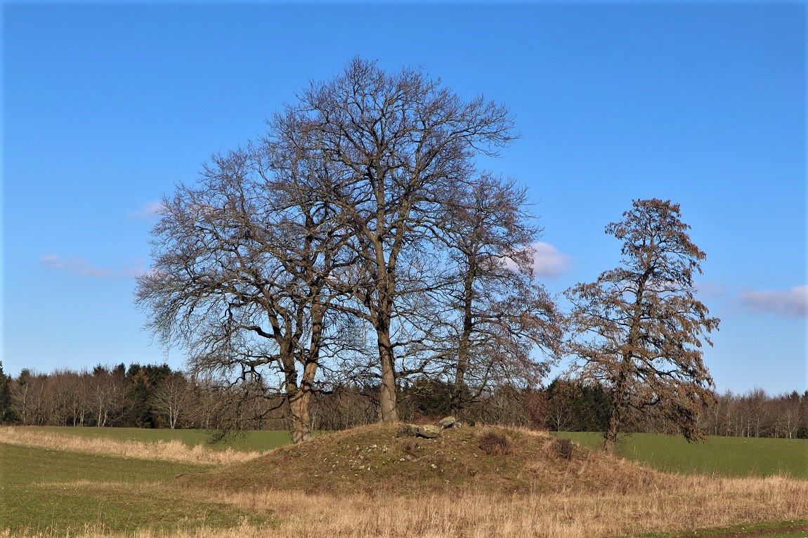 Benzonslund Jættestue. Foto feb. 2023