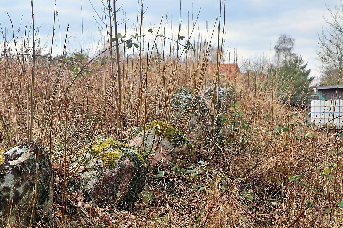 Svebølle Langdysse 2. Foto marts 2023