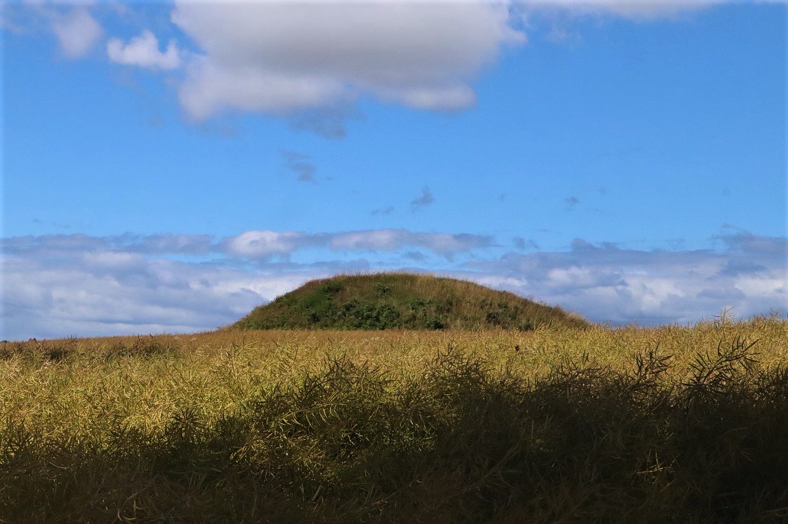 Torshøj (Skamby)