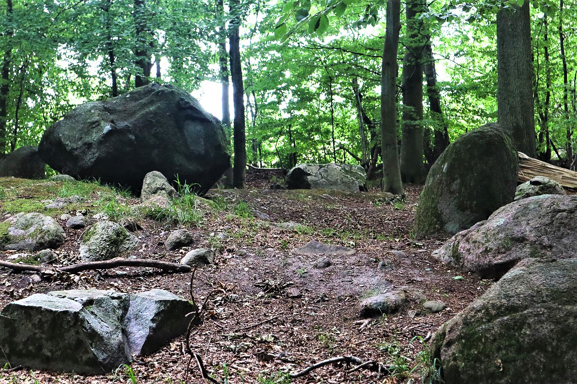 Tokkekøb Hegn langdysse 2. Foto juli 2020