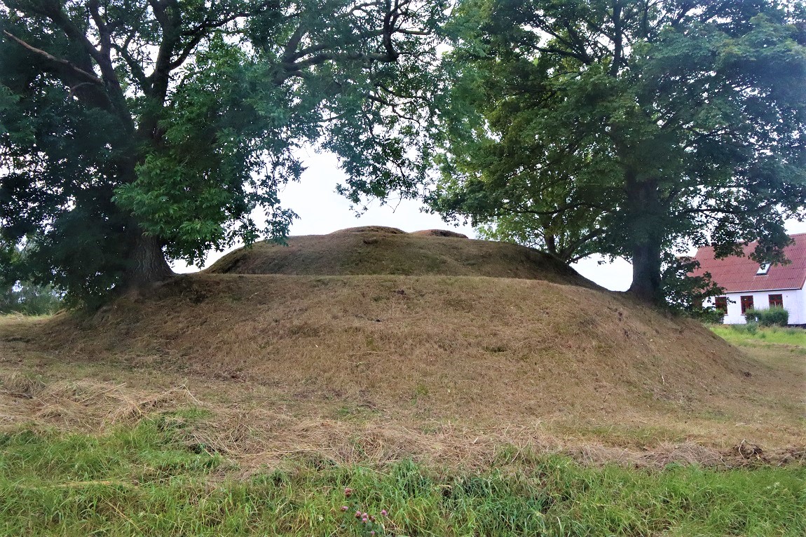 Møns Sneglehøj. Foto august 2020