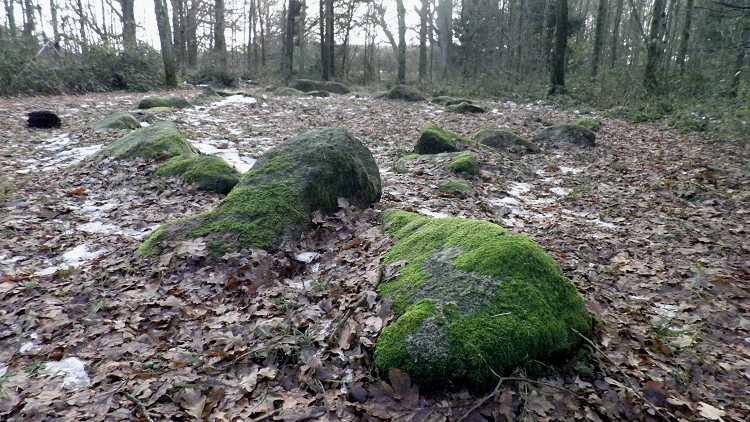 Konabbe Skov Skibssætning