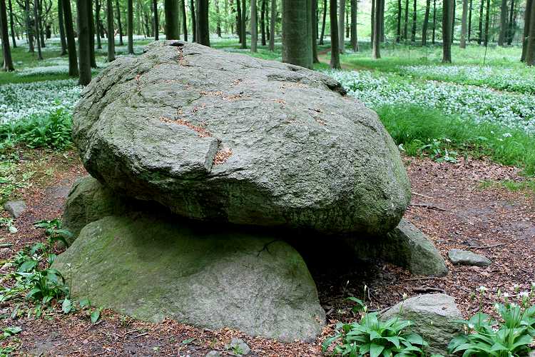 

Site in Sorø Denmark

