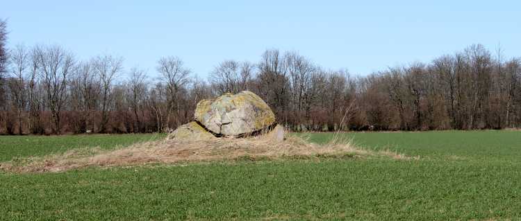 Site in Svendborg (Fyn South   Langeland) Denmark

