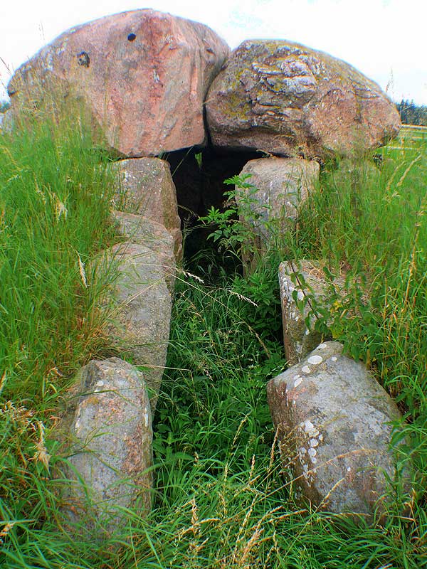 Passage grave, surrounded by remains of a Round Barrow.

Chamber 3.3 x1,9 m, oriented NNE-SSW, consisting of 9 construction stones,
3 to N, 2 to E, 2 to S and 2 against W.
The chamber is almost pear-shaped, and covered by 2 large capstones.

On the west capstone seen 15-20 cupmarks, on the south-eastern part of the surface.
Passage towards SSE, it consists of 5 construction stones, 3 west a