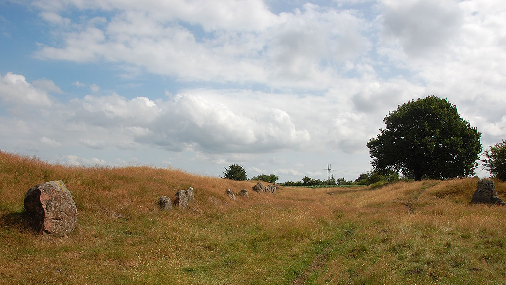 A mighty Long Barrow, 115 m long of NE-SW direction, 8-12 m wide.
Earth mound from 1.50 to 2.00 m high.
15 m from NE-end a hole of 6 m diameter. 
9 m from this a similar hole, equal to the mound bottom; herein seen
two large, significant land covered stones from a destroyed chamber.
14 m, 20 m and 32 m from barrows SW-End seen similar holes of robbed
chambers. (Distances are measured to the 