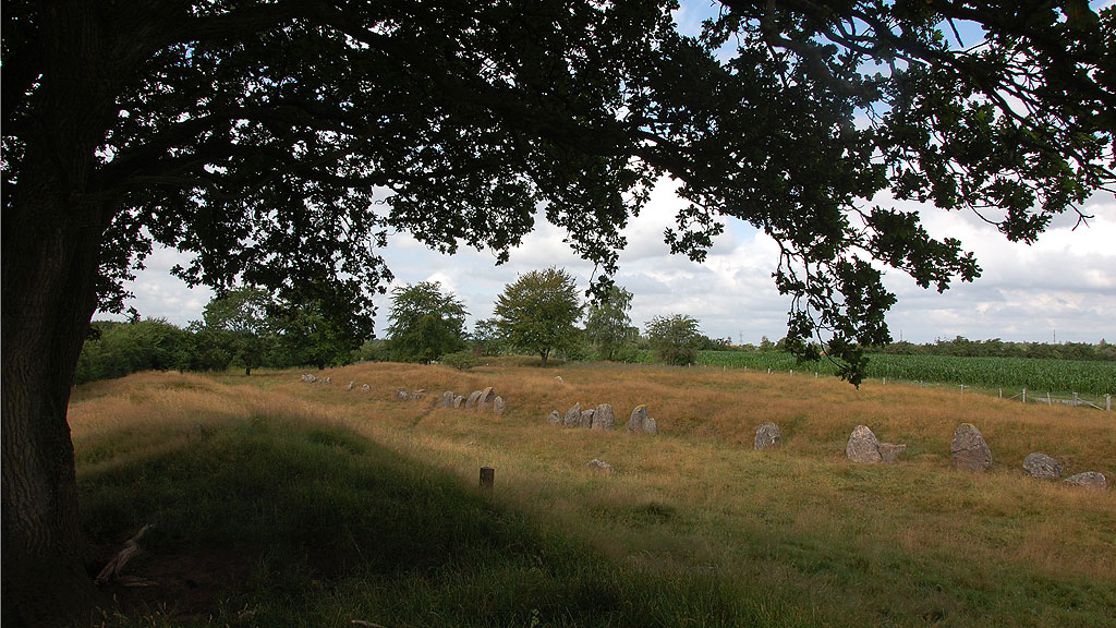 A mighty Long Barrow, 115 m long of NE-SW direction, 8-12 m wide.
Earth mound from 1.50 to 2.00 m high.
15 m from NE-end a hole of 6 m diameter. 
9 m from this a similar hole, equal to the mound bottom; herein seen
two large, significant land covered stones from a destroyed chamber.
14 m, 20 m and 32 m from barrows SW-End seen similar holes of robbed
chambers. (Distances are measured to the 