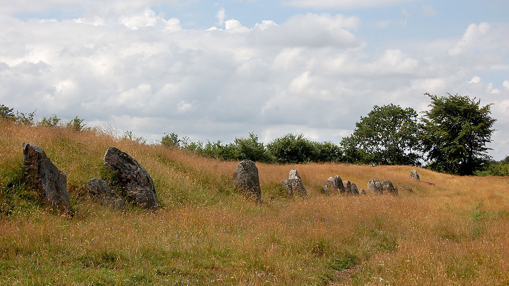 A mighty Long Barrow, 115 m long of NE-SW direction, 8-12 m wide.
Earth mound from 1.50 to 2.00 m high.
15 m from NE-end a hole of 6 m diameter. 
9 m from this a similar hole, equal to the mound bottom; herein seen
two large, significant land covered stones from a destroyed chamber.
14 m, 20 m and 32 m from barrows SW-End seen similar holes of robbed
chambers. (Distances are measured to the 