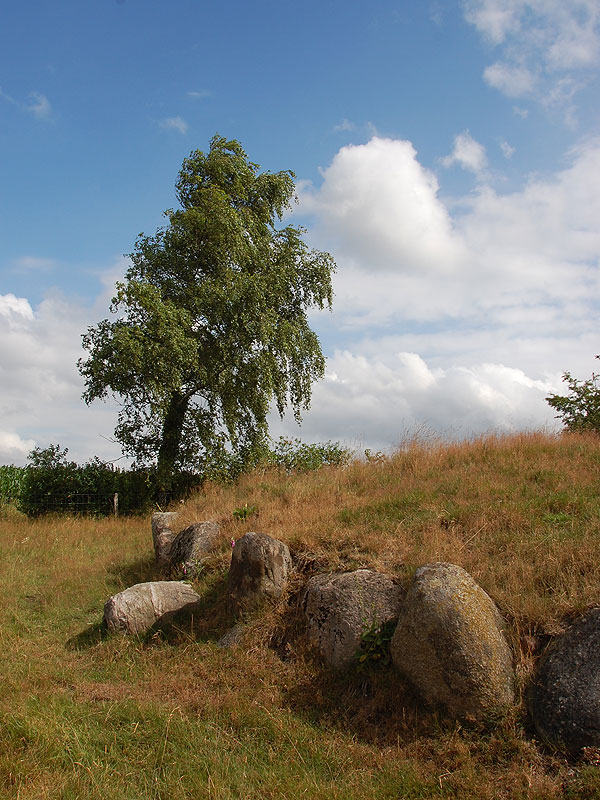 Partially disturbed Round Barrow. Earth mound is still 1 to 1.25 m high,
15 meters diameter.  22 kerb stones in place. Some have been removed,
but have been replaced.
In the middle was a large chamber, which is now quite covered with earth.

