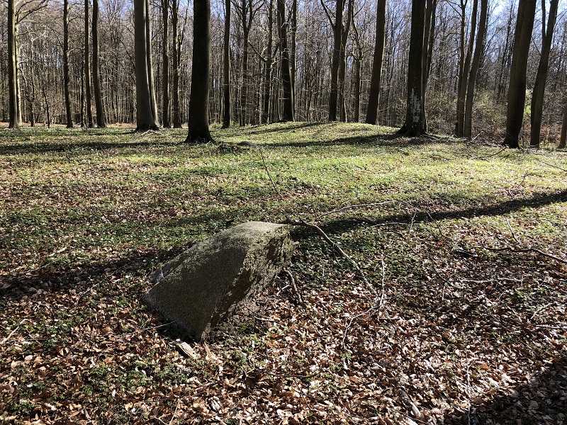 One of the stones north of the mound with the burial mound seen in the background. 