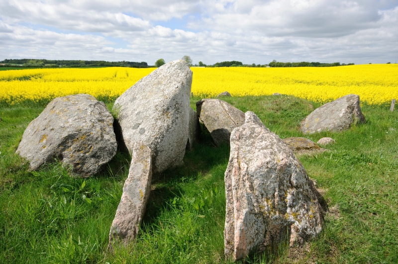 Mårup Runddysse 2