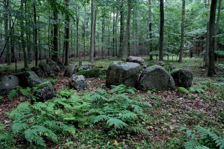 Site in Maribo (incl. Lolland   Falster) Denmark.