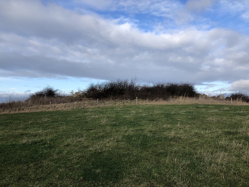 The entire long barrow as seen from the south. 