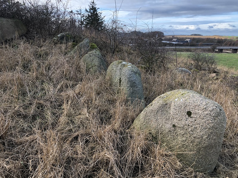 Kerbstones along the northern length of the barrow. 