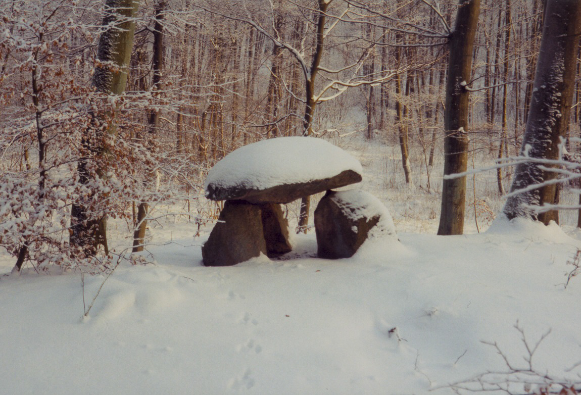 Enemærket Skov. Foto winter 1994