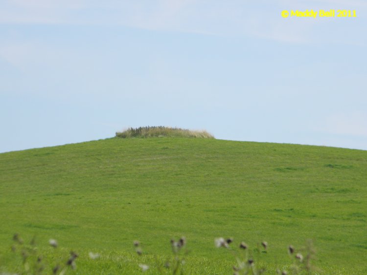 Langebjerg Rundhøj 2