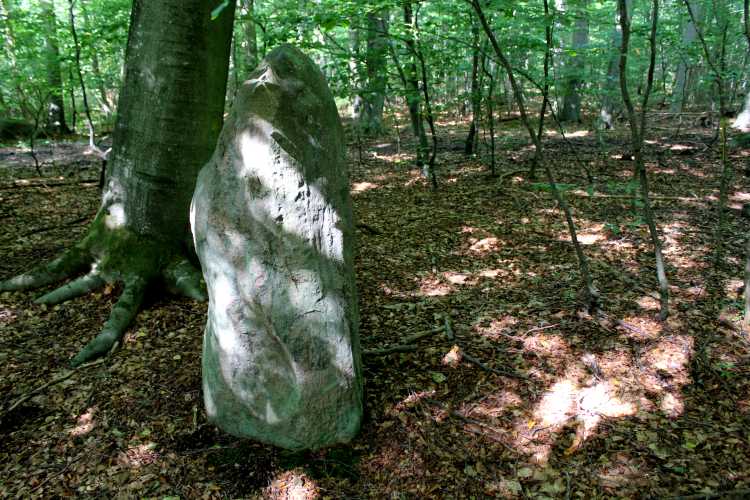 Frejlev Skov Bautasten