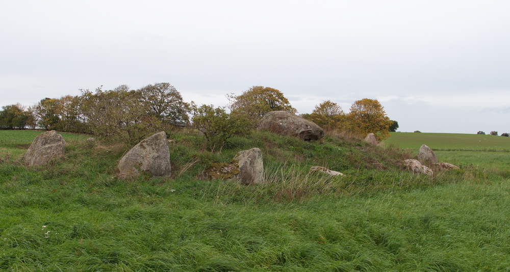 The long barrow has two chambers and is approx. 22 * 8 m.