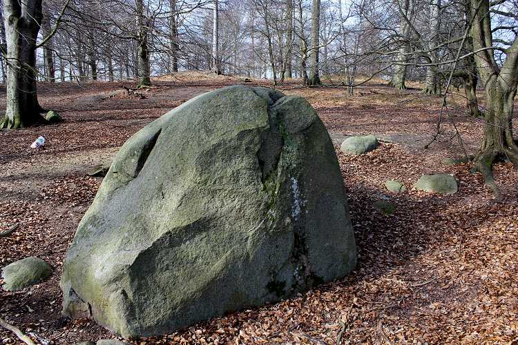 Halskov Vænge Helleristningssten