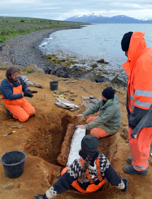 The archaeologists are working right at the waters edge. Nobody knows how much the sea has already claimed. 
Photo Credit: Hildur Gestsdóttir 

Site in  Iceland