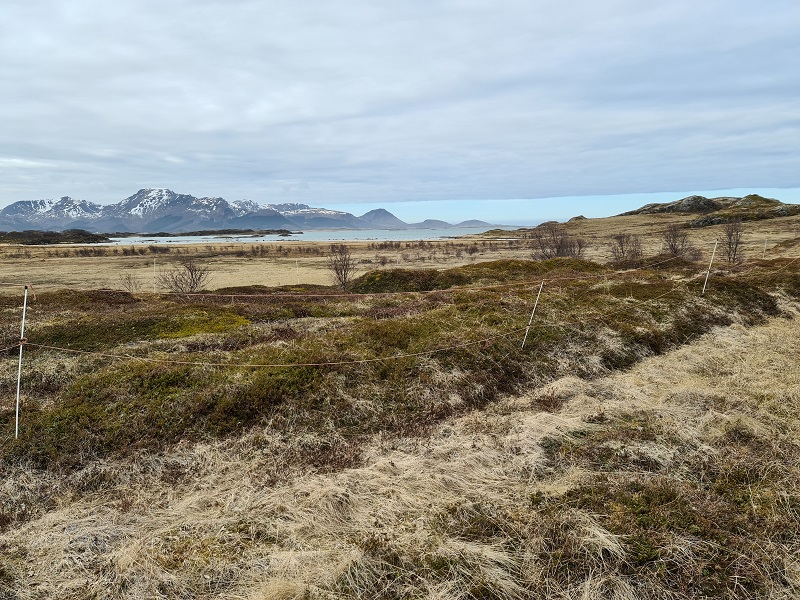Site in Nordland Norway