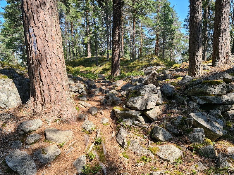 Site in Hedmark Norway