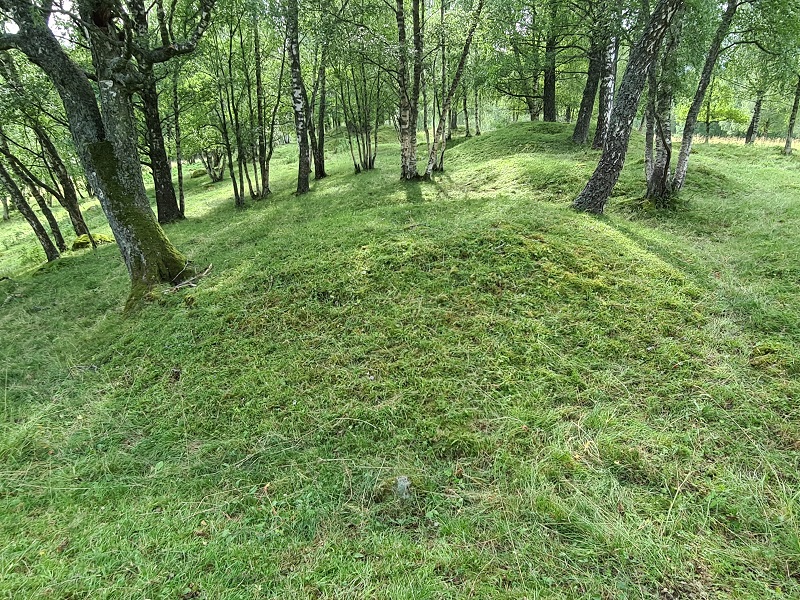 Oval shaped barrow.