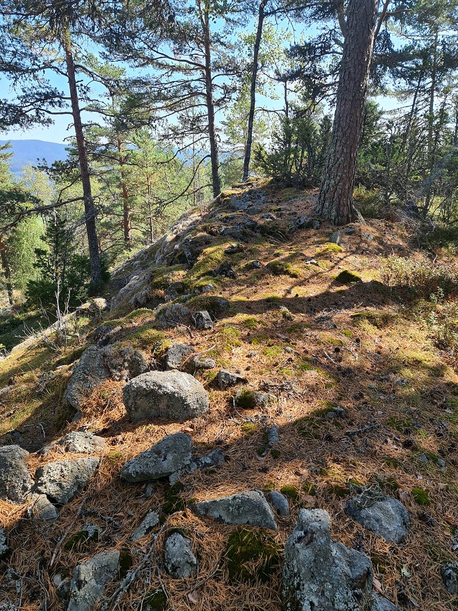 Site in Buskerud Norway