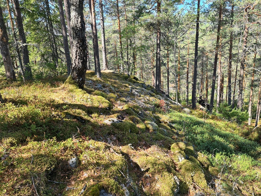 Site in Buskerud Norway