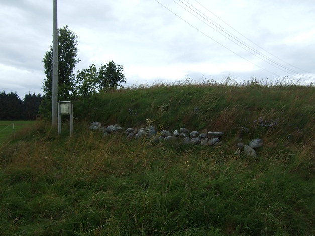 Mjeltehaugen Barrow