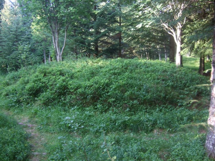 Gleinsneset Cemetery