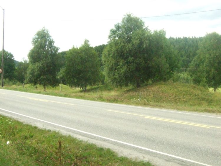 This is a very good example of a typical iron age location for a cemetery. Burial mounds were often put on easy visible places, like hills, cliffs overlooking the sea, natural terraces or along a road like this example. The mounds were located on both sides of this road before most of them sadly were destroyed.