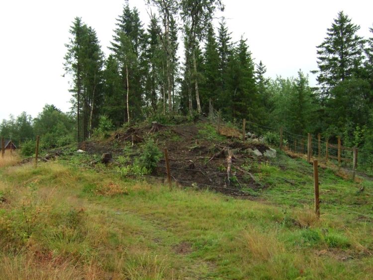 This is the other huge burial mound. It is about 45 metres across and 4 metres tall.
