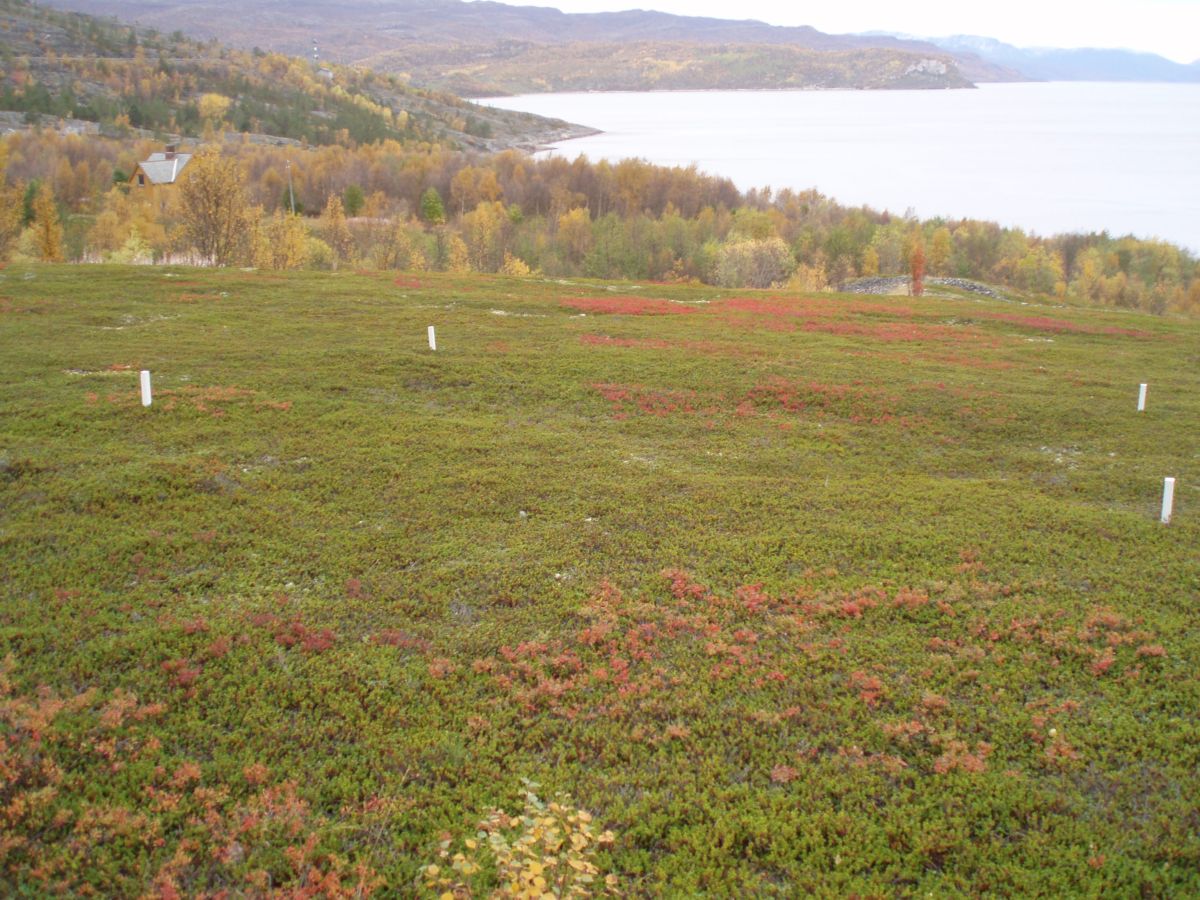 Site in Finnmark Norway