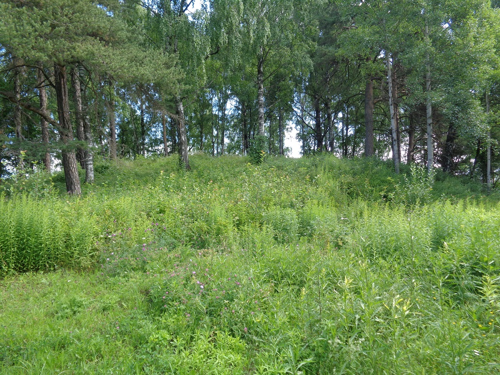 Site in Hedmark Norway