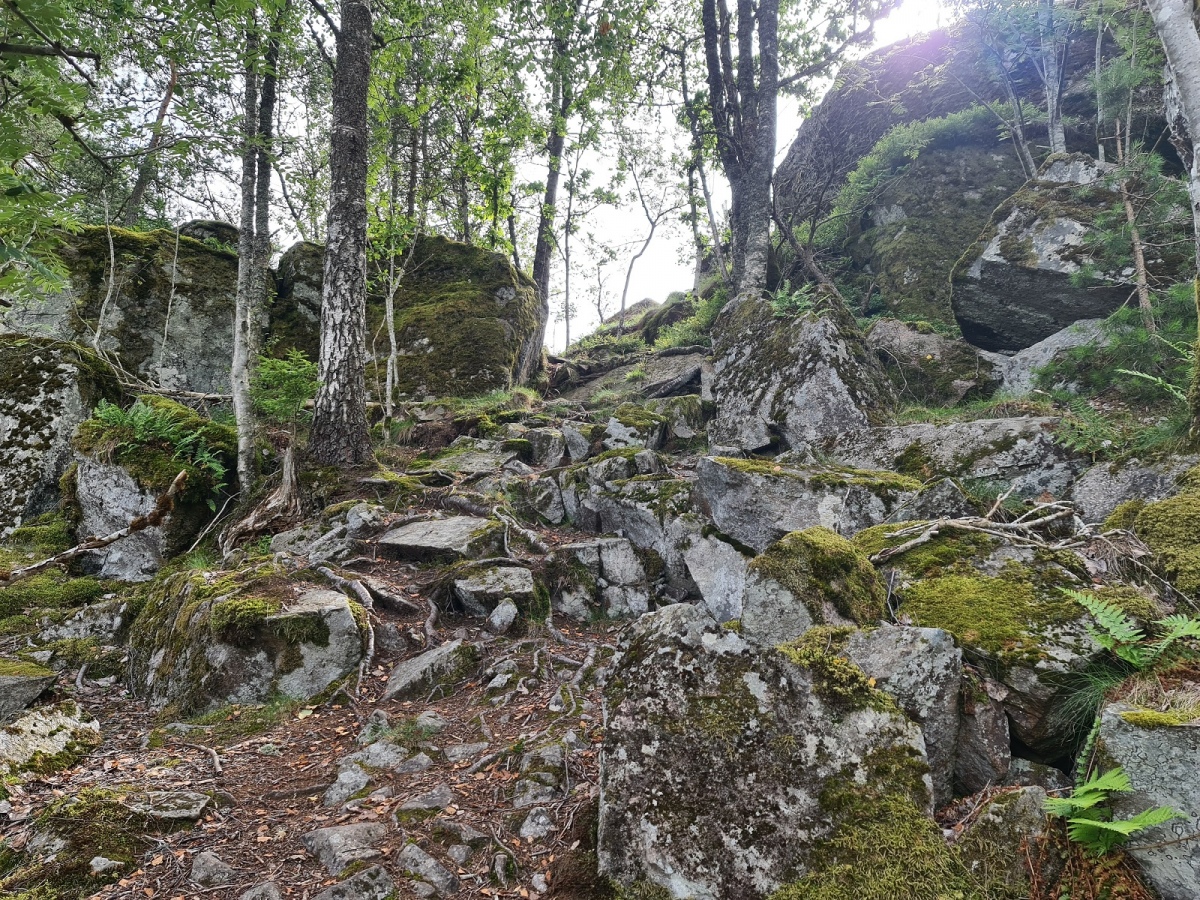 Site in Vestfold Norway