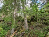 Holmsvatnet-Tjuvberget Hillfort