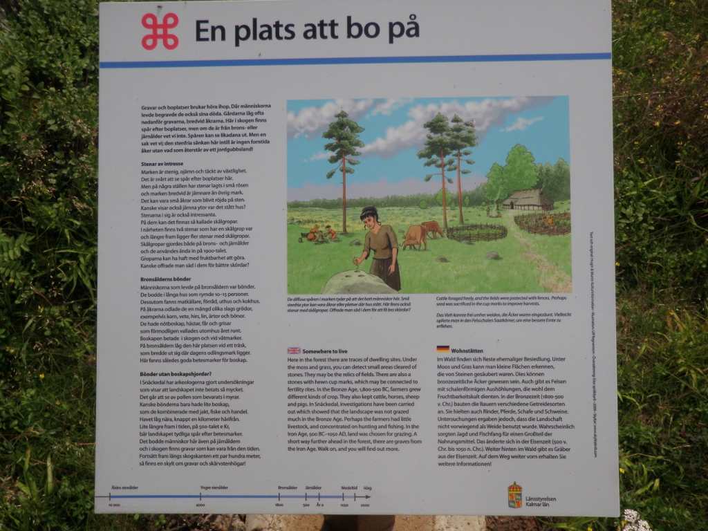 Snäckedal burial ground in Småland, Sweden.
